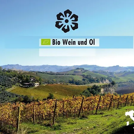 Fiorano Gospodarstwo agroturystyczne *