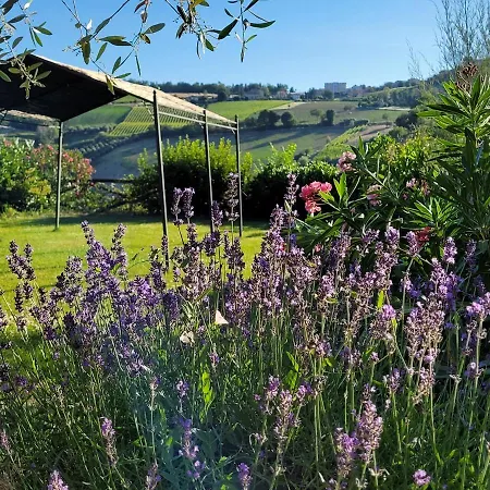 Alloggio per agriturismo Fiorano Cossignano