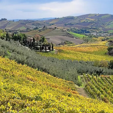 ファームステイ Fiorano