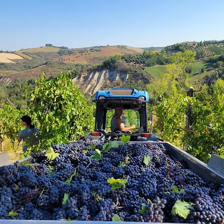 Fiorano ファームステイ Cossignano