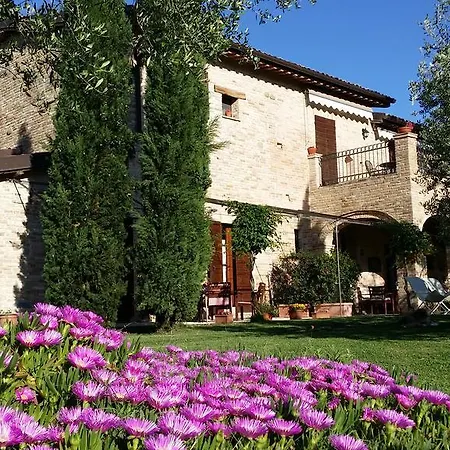 Fiorano * Cossignano