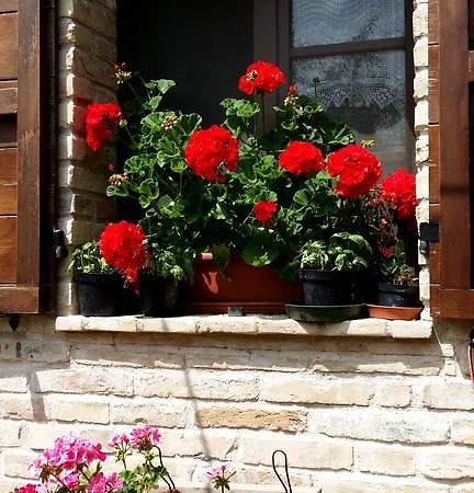 Fiorano * Cossignano