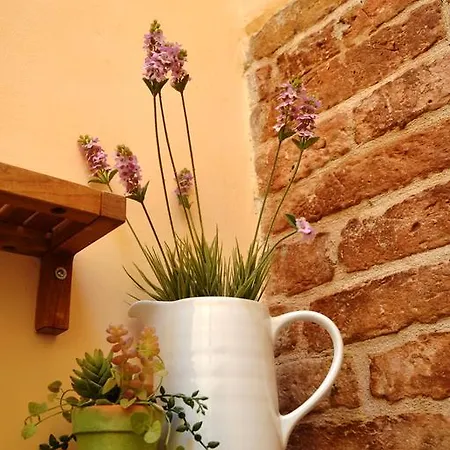 Alloggio per agriturismo Fiorano Cossignano