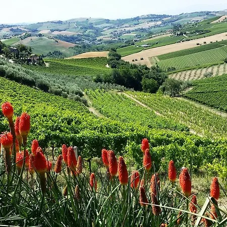 Fiorano Gospodarstwo agroturystyczne *