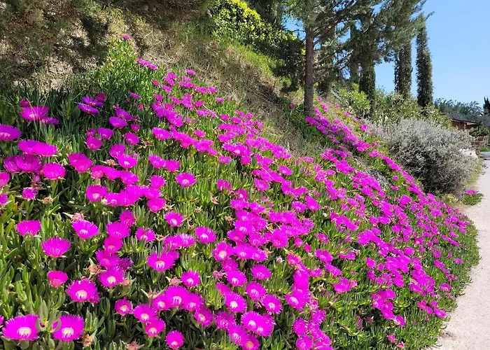 Çiftlik konaklama Fiorano *